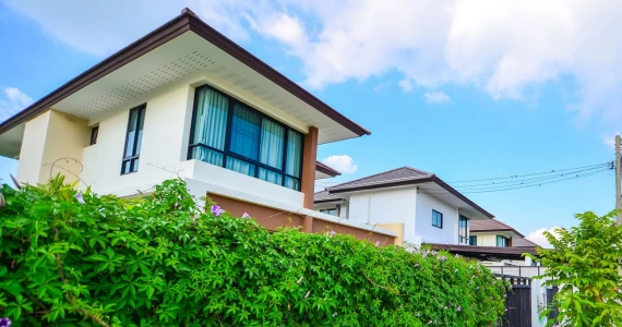 รูปภาพ สัมมากร นิมิตใหม่ (Sammakorn Nimitmai)