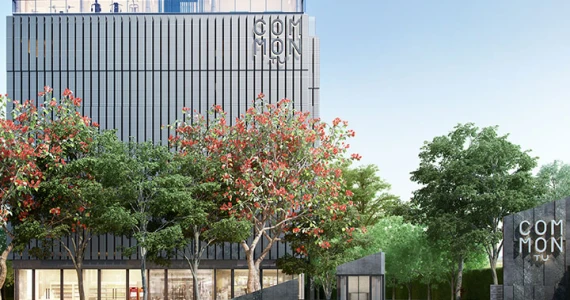 รูปภาพ คอมมอน ทียู (COMMON TU)