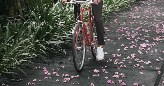 รูปภาพ ดีคอนโด แคมปัส กำแพงแสน (dcondo Campus Kampangsaen)