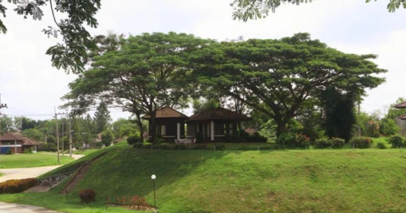 รูปภาพ พัทยาคันทรี่คลับ โฮม แอนด์ เรสซิเด้นซ์ (Pattaya Country Club Home & Residence)