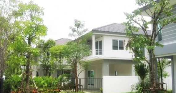 รูปภาพ ชัยพฤกษ์ รัตนาธิเบศร์-วงแหวน (Chaiyapruk Rattanathibet-Wongwaen)