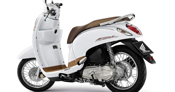รูปภาพ ฮอนด้า Honda Scoopy i Prestige Guy 2014 ACF110SFF (3TH) ปี 2014