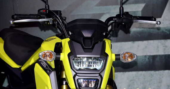 รูปภาพ ฮอนด้า Honda MSX125 SF ปี 2016