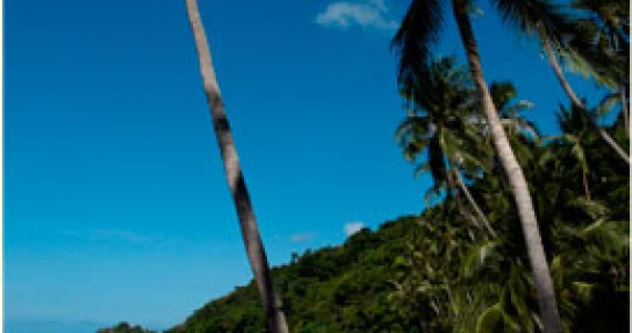 รูปภาพ ดิ เอสเตท สมุย (The Estates Samui)