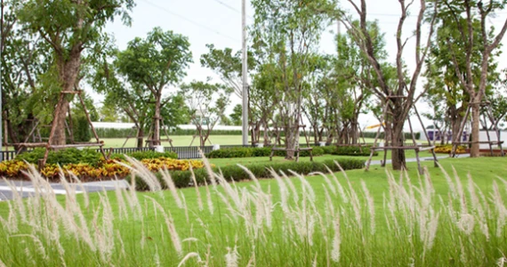 รูปภาพ ลัดดารมย์ บางนา (Laddarom Bangna)