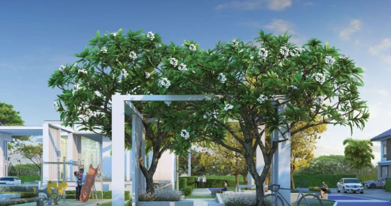 รูปภาพ มาย-กรีน @ บางสมัคร (My Green @ Bangsamak)