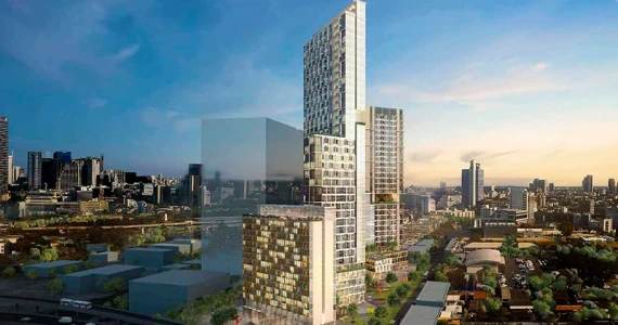 รูปภาพ ไซมิส พระราม 9 (Siamese Rama 9)