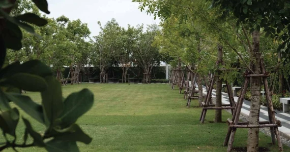 รูปภาพ ชวนชื่น ทาวน์ ราชพฤกษ์ - 345 (Chuan Cheun Town Ratchapruek - 345)