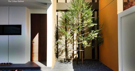 รูปภาพ เรดวูด ดิ เออร์เบิ้น ฮาบิแทด (Redwood The Urban Habitat)