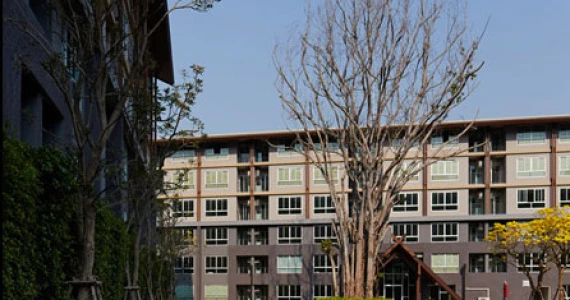รูปภาพ ดีคอนโด แคมปัส รีสอร์ท เชียงใหม่ (dcondo Campus Resort Chiangmai)