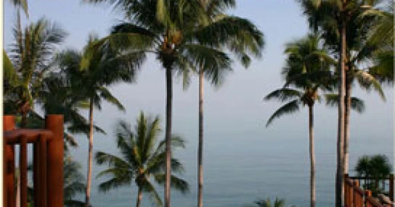 รูปภาพ ดิ เอสเตท สมุย (The Estates Samui)