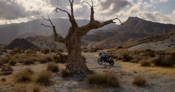 รูปภาพ Triumph  900 Desert Edition ปี 2025