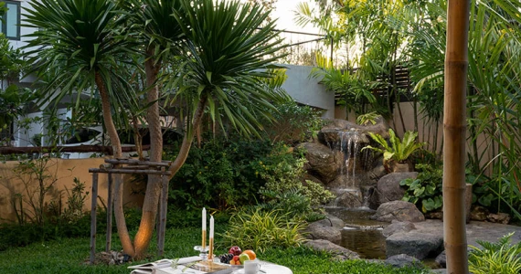 รูปภาพ บ้านเพลิน (Baan Plern)