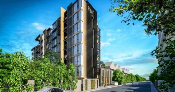 รูปภาพ ฟินน์ อารีย์ (Fynn Aree)