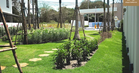 รูปภาพ อนัญญา โมเดิร์นทาวน์ (Ananya Modern Town)