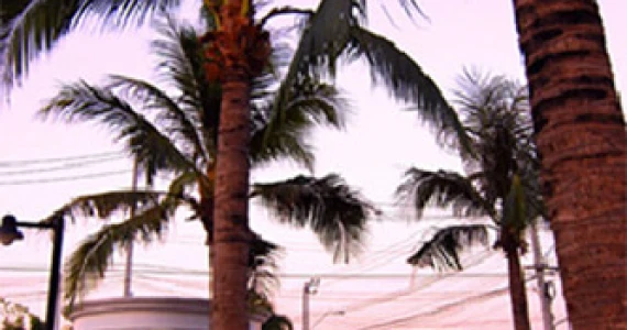 รูปภาพ สิรีนเฮ้าส์ บางนา (Sirinhouse Bangna)