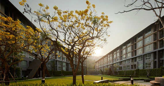 รูปภาพ ดีคอนโด แคมปัส รีสอร์ท เชียงใหม่ (dcondo Campus Resort Chiangmai)