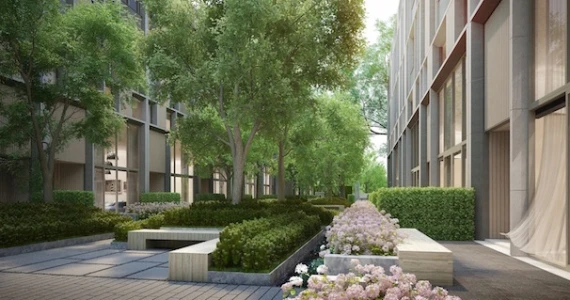 รูปภาพ ควอเตอร์ 39 (Quarter 39)