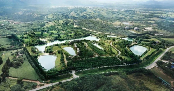 รูปภาพ สวอนเลค เขาใหญ่ (Swan Lake Khao Yai)