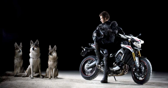 รูปภาพ ยามาฮ่า Yamaha FZ-09 Street Rally ปี 2015