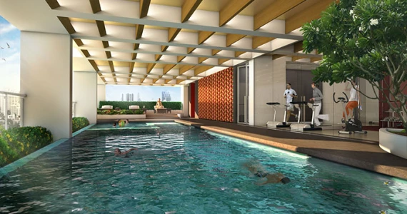 รูปภาพ ไซมิส สุรวงศ์ (Siamese Surawong)