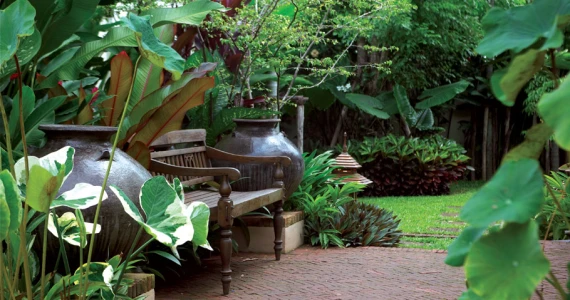 รูปภาพ สีวลี-คลองชลฯ เชียงใหม่ (Sivalee Klongchon Chiangmai)