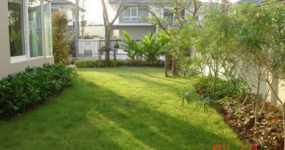 รูปภาพ ชัยพฤกษ์ วัชรพล (Chaiyapruk Watcharapol)