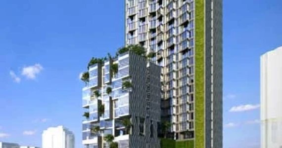 รูปภาพ ไซมิส ราชครู (Siamese RatchaKru)