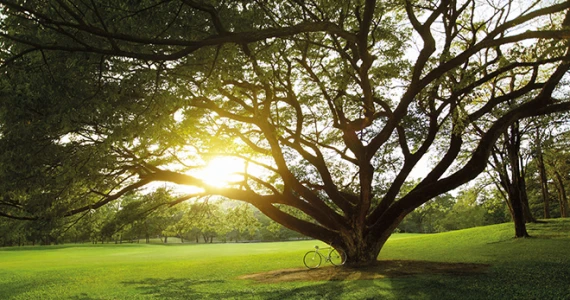 รูปภาพ เซ็นทริค อารีย์ สเตชั่น (Centric Ari Station)