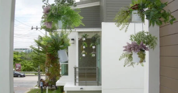 รูปภาพ เดอะ เทอเรส  เพชรเกษม 63 (The Terrace Phetkasem 63)