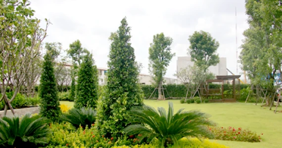 รูปภาพ ซีรีน พระราม 2-ท่าข้าม (Zerene Rama II)