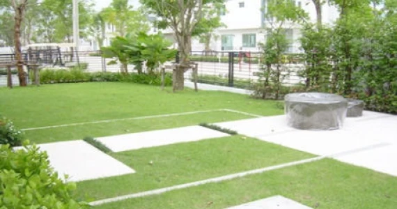 รูปภาพ เดอะ เทอเรส  เพชรเกษม 63 (The Terrace Phetkasem 63)