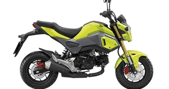 รูปภาพ ฮอนด้า Honda MSX125 SF ปี 2016
