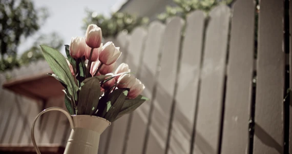 รูปภาพ บุราสิริ ปัญญาอินทรา (Burasiri Panyaindra)