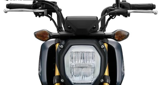 รูปภาพ ฮอนด้า Honda MSX125 GROM (STD) ปี 2022