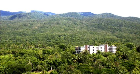 รูปภาพ เมาท์เท่น ฟรอนท์ คอนโดมิเนียม (Mountain Front)