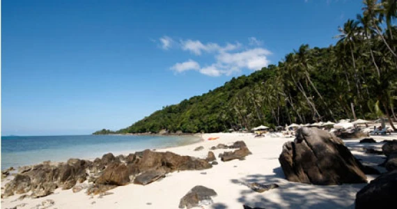 รูปภาพ ดิ เอสเตท สมุย (The Estates Samui)