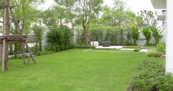 รูปภาพ เดอะ เทอเรส  เพชรเกษม 63 (The Terrace Phetkasem 63)