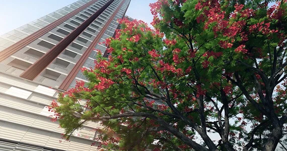 รูปภาพ เดเดอะ เบส การ์เดน-พระราม 9 (The Base Garden Rama 9)