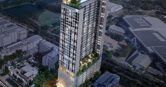 รูปภาพ คอมมอน ทียู (COMMON TU)