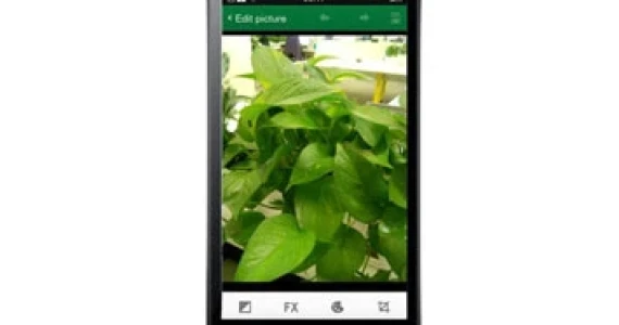 รูปภาพ ออปโป OPPO-Joy 3