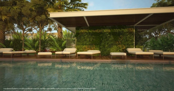 รูปภาพ ทรีท็อปส์ (Tree tops)
