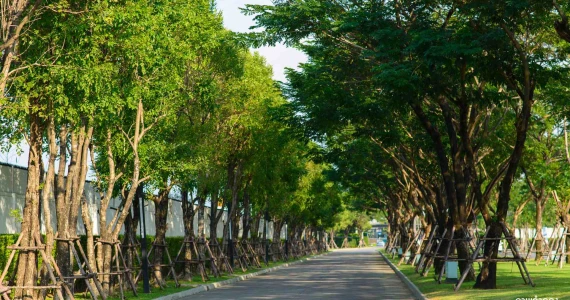 รูปภาพ มัณฑนา พรานนก สาย2 - บางแวก (Mantana Phran Nok Sai 2 - Bangwag)