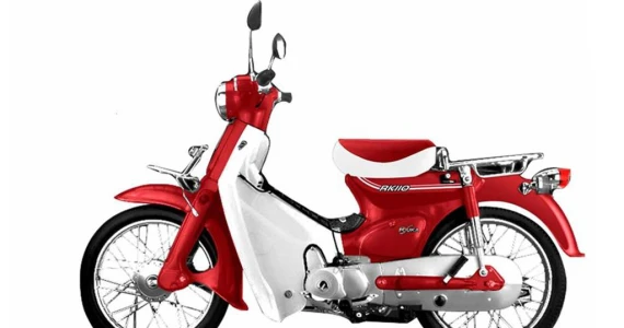 รูปภาพ จงเซิน ริวก้า Zongshen Ryuka Classic (Standard) ปี 2011