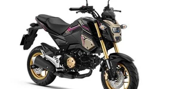 รูปภาพ ฮอนด้า Honda MSX125 SF ABS MY20 ปี 2020