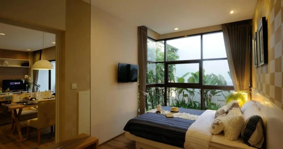 รูปภาพ ทรีท็อปส์ (Tree tops)