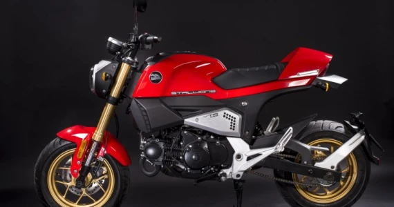 รูปภาพ สตาเลียน Stallions VTR 125 ปี 2016