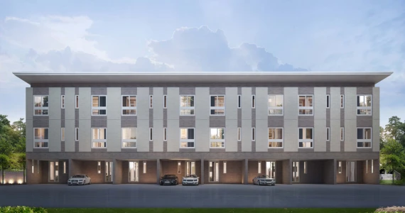 รูปภาพ ไซมิส คิน รามอินทรา (Siamese Kin Ramintra)