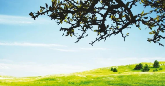 รูปภาพ บ้านเบญญาภา (Baan Benyapha)