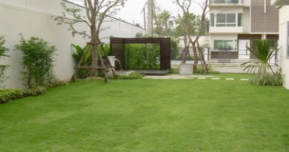 รูปภาพ บ้านใหม่ พระราม 2 (2) (Baan Mai Rama 2 (2))